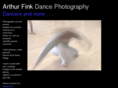 arthurfinkphoto.com