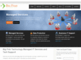 bigfishtech.com