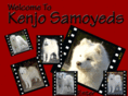 samoyeds.biz