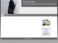 snowbeltdog.com