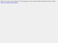 saxonywebdesign.com