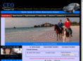 ceolimousineservice.com