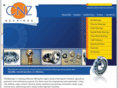 cnzbearings.com