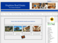 hopkins-mn-real-estate.com