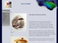 silkillusions.com