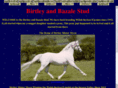 birtleyponies.com