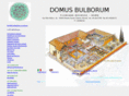 domus-bulborum.com