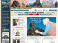 gorillafoundation.com