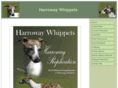 harrowaywhippets.com