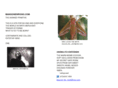 mangonewrong.com