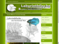 meine-zierfische.com