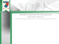 ssctoronto.com