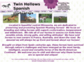 twinhollowssm.com
