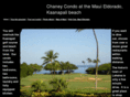 chaneycondo.com