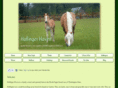 haflingerhavenfarm.com