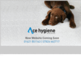 ace-hygiene.com