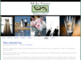 bellejourproductions.com