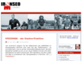 ironseo.de