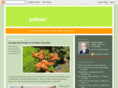 pelham10803.com
