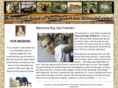 wisconsinbigcats.com