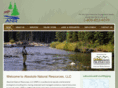 absolutenaturalresources.com