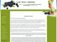 acaiberryvitamins.org