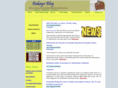 bakayrblog.com