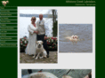 millstonecreeklabradors.com