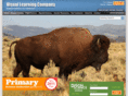 visuallearningco.com