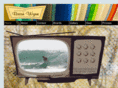 wynnsurfboards.com