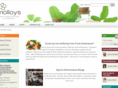 molloyspharmacy.com