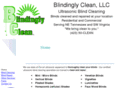 blindinglyclean.com