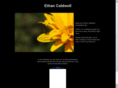 ethancaldwell.com