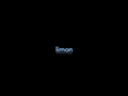 limonlab.com