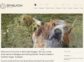 benruadhbeagles.com