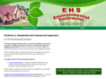 ehsenvironmentalcontractor.com