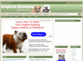 englishbulldogsavvy.com