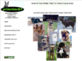 primetimek9.com