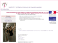 stages-danse.com