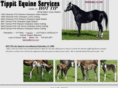 tippitequine.com