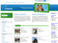 vivahorse.com