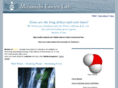 miramichienvirolab.com