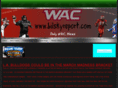 thebilskyreport.com