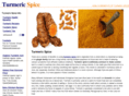 turmericspice.com
