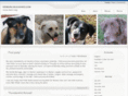 webgirlunleashed.com