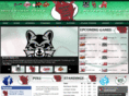 wisconsinstateleague.com