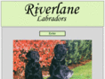 riverlanelabradors.com