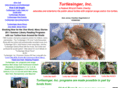 turtlesinger.org