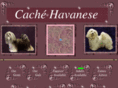 cachehavs.com