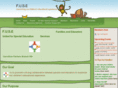 cfbfuse.com